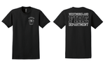 Black 2000 Gildan Unisex Cotton Tshirt